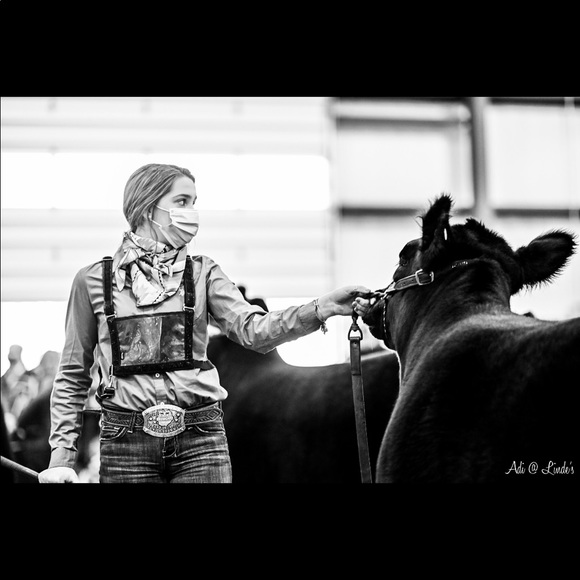 Meet your Posher, Emma - Picture 1 of 1